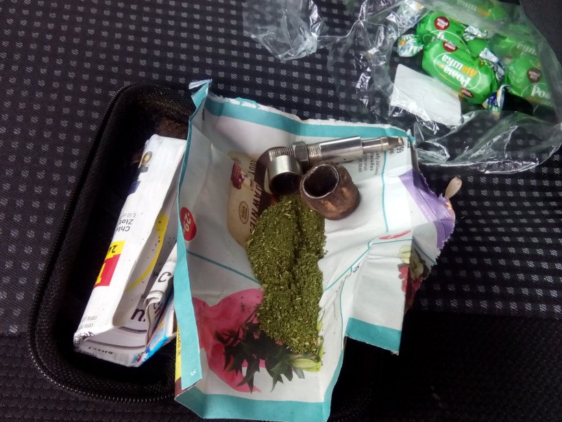 Собачий тандем допоміг прикордонникам виявити наркотики