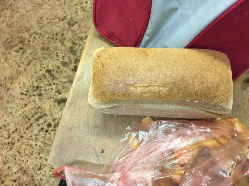 (ВІДЕО) На Харківщині в хлібині прикордонний пес виявив наркотичне зілля 