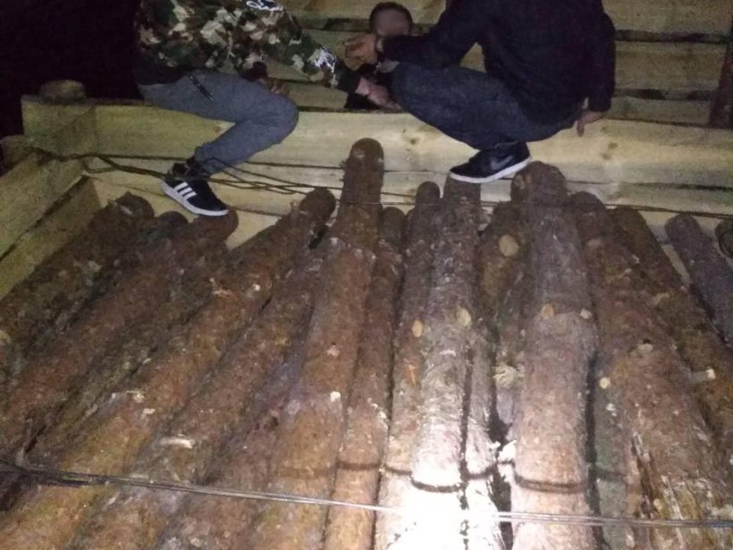 У вантажному поїзді серед лісоматеріалів охоронці кордону виявили правопорушників  